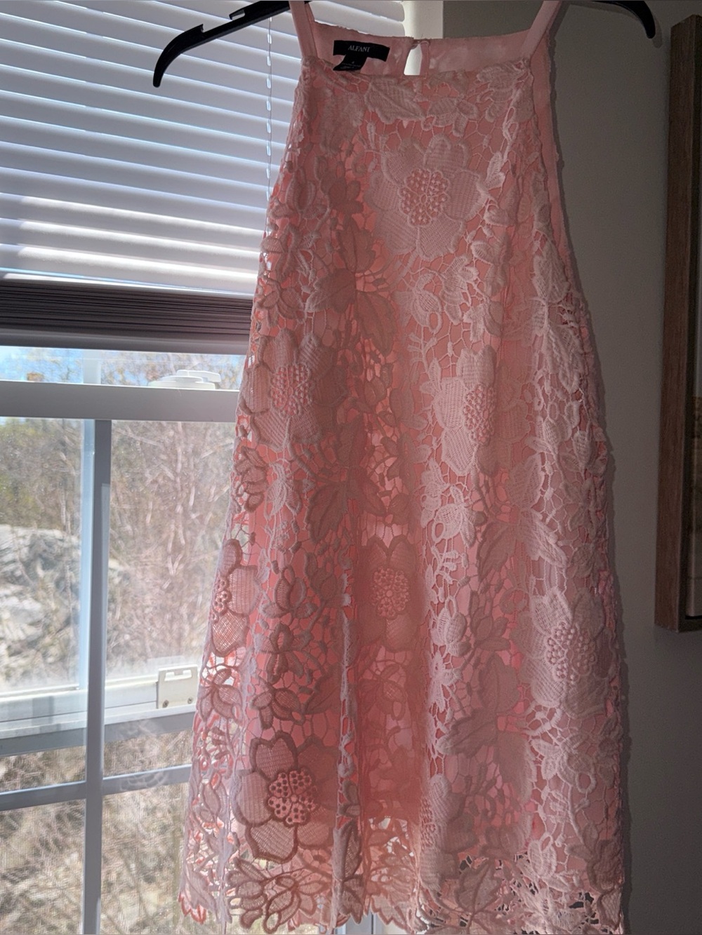 Alfani Pink Lace Overlay Dress